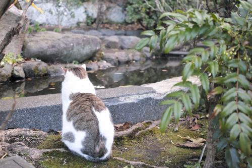 (写真は本文と関係ありません)